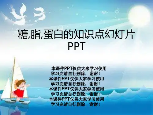 糖,脂,蛋白的知识点幻灯片PPT