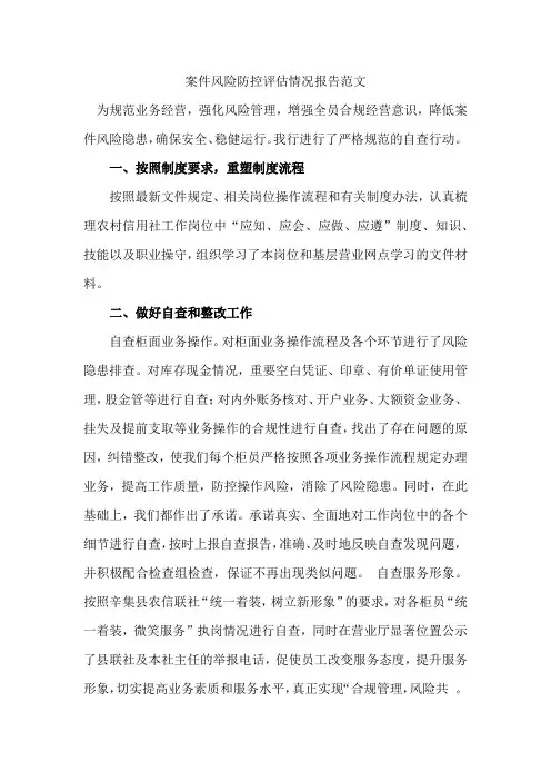 案件风险防控评估情况报告范文