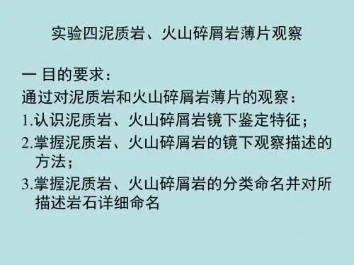 沉积岩石学-实验五  粘土岩、火山碎屑岩镜下共11页PPT资料