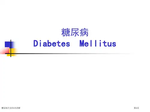 糖尿病专业知识讲解专家讲座