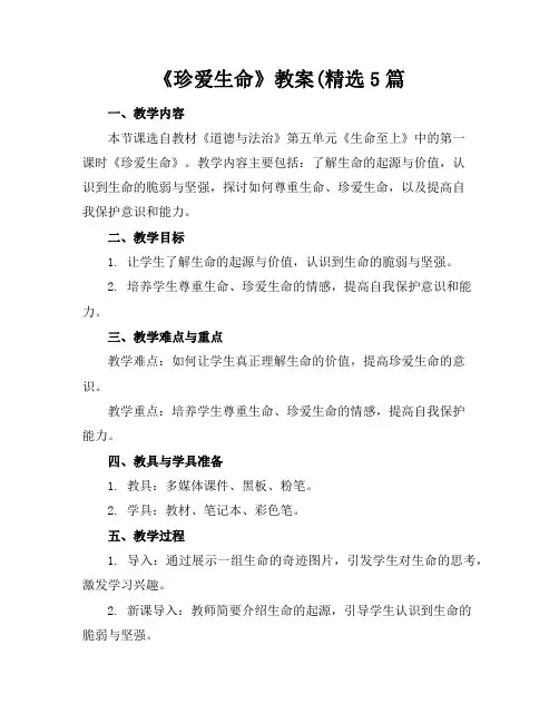 《珍爱生命》教案(精选5篇