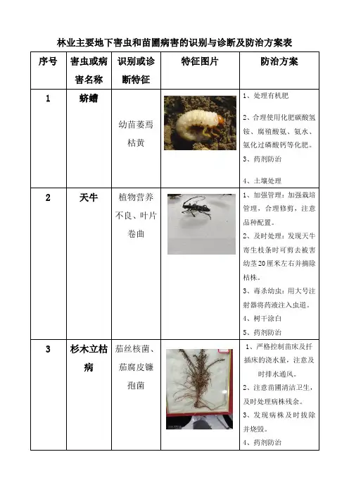 林业主要地下害虫和苗圃病害的识别与诊断及防治方案表