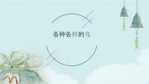 各种各样的鸟课件