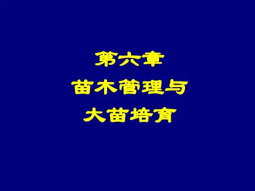 苗圃学 6苗木管理与大苗培育