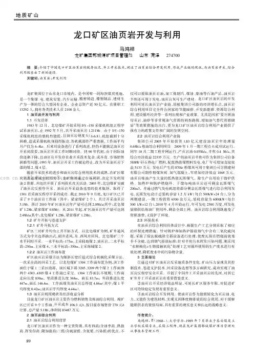 龙口矿区油页岩开发与利用