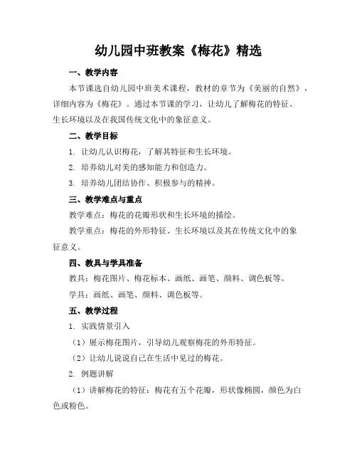幼儿园中班教案《梅花》精选