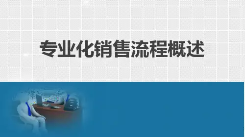 专业化销售流程