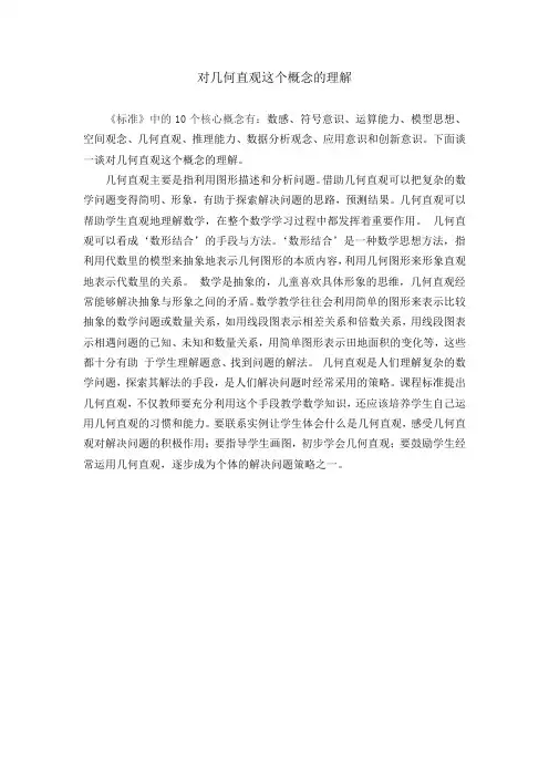 对几何直观这个概念的理解