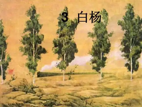 语文人教版五年级下册《白杨》