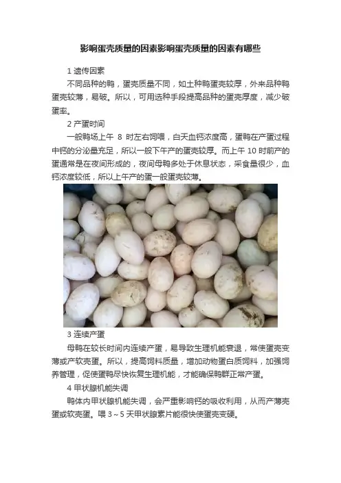 影响蛋壳质量的因素影响蛋壳质量的因素有哪些