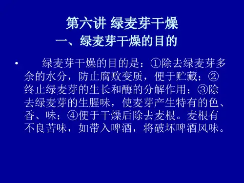 啤酒生产工艺学