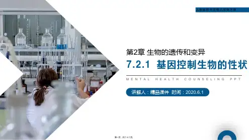 (生物的遗传和变异(基因控制生物的性状))人教版初中生物八年级下册教学课件