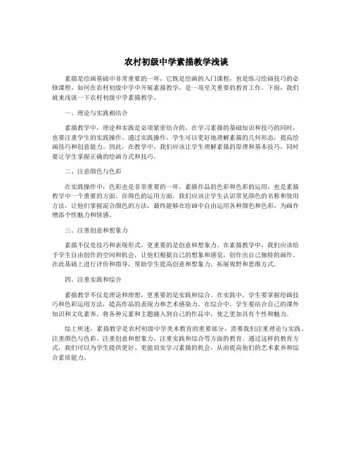 农村初级中学素描教学浅谈