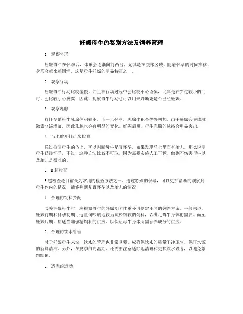 妊娠母牛的鉴别方法及饲养管理