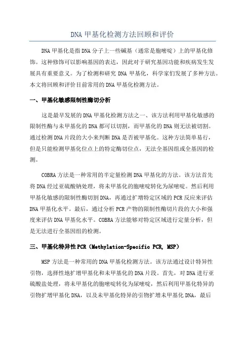 DNA甲基化检测方法回顾和评价