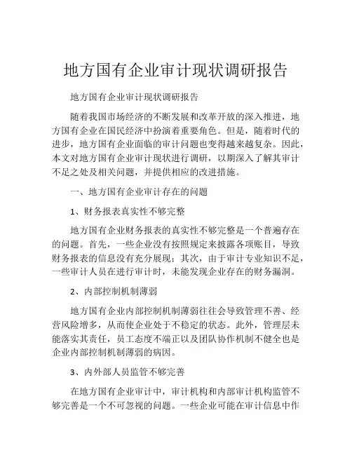 地方国有企业审计现状调研报告