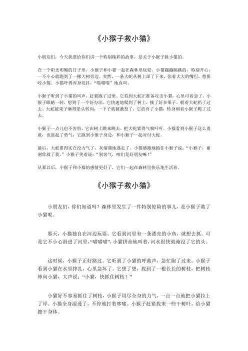 小猴子救小猫和狮子大战300字作文