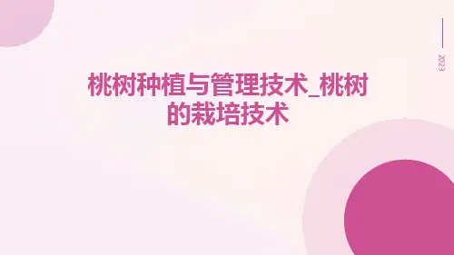 桃树种植与管理技术_桃树的栽培技术