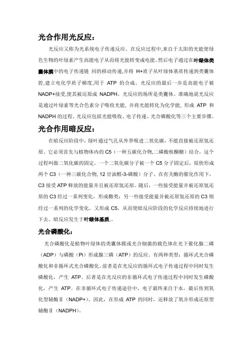 光合作用光反应与暗反应