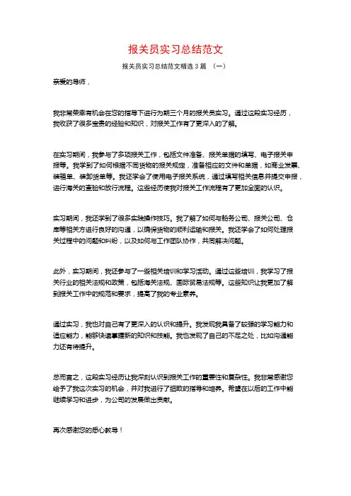 报关员实习总结范文3篇
