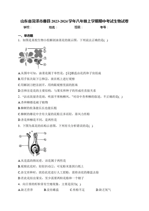 山东省菏泽市曹县2023-2024学年八年级上学期期中考试生物试卷(含答案)