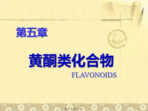 天然药物化学-黄酮类化合物