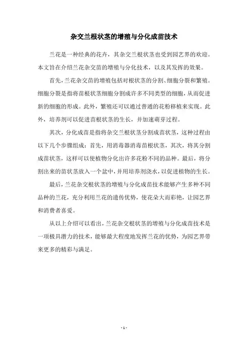 杂交兰根状茎的增殖与分化成苗技术
