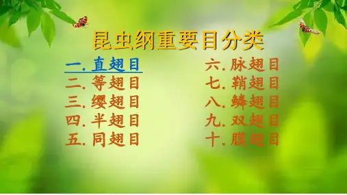植物昆虫重要目分类