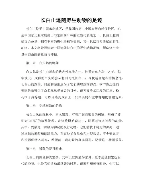长白山追随野生动物的足迹