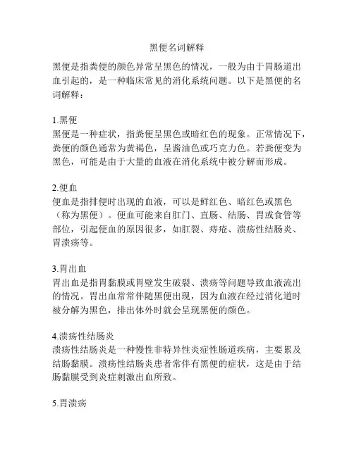 黑便名词解释