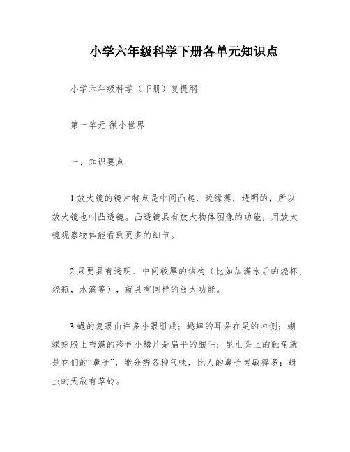 小学六年级科学下册各单元知识点