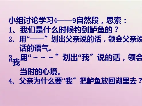 钓鱼的启示2(共8张PPT)