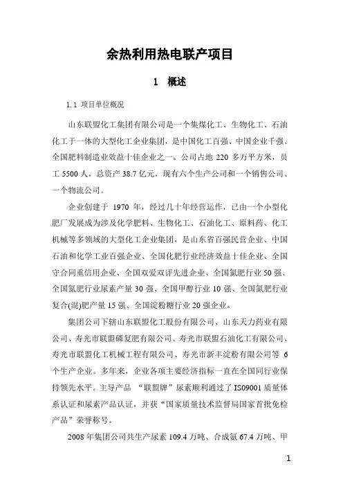 余热利用热电联产项目可行性研究报告