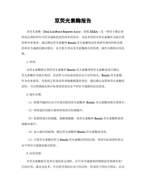 双荧光素酶报告