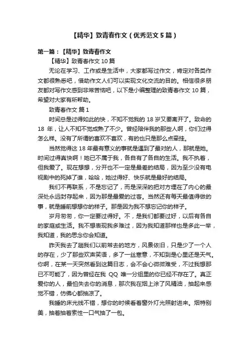 【精华】致青春作文（优秀范文5篇）