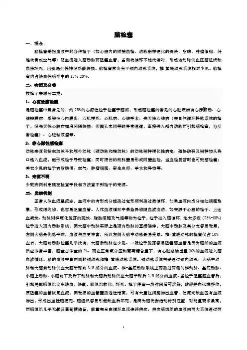 脑栓塞