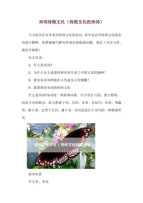 宋词传统文化(传统文化的宋词)