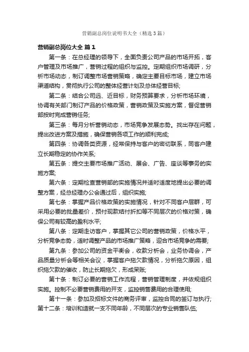 营销副总岗位说明书大全（精选3篇）