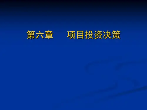 项目投资决策 (1)