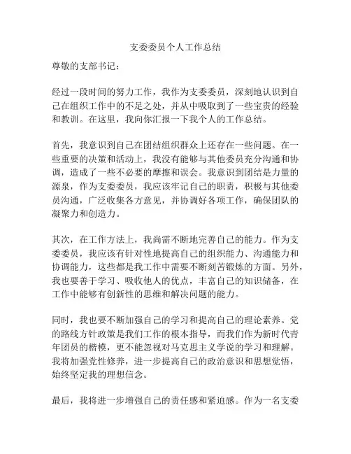 支委委员个人工作总结