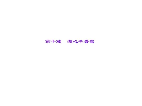 辽宁省中考语文重点篇目专题复习 第十篇《湖心亭看雪》课件