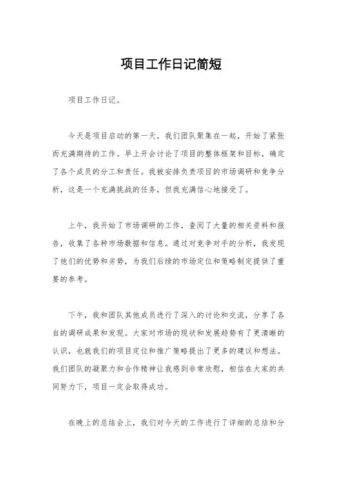 项目工作日记简短
