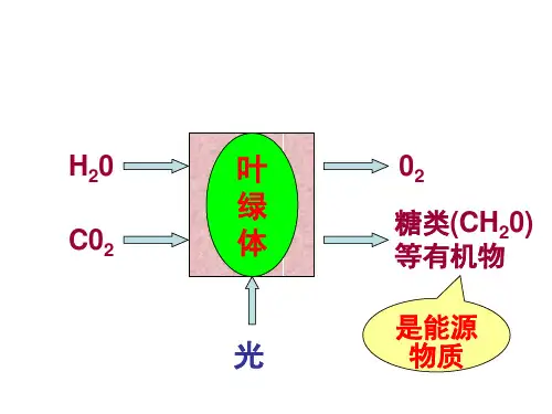 5-4能量之源——光与光合作用课件[精选文档]