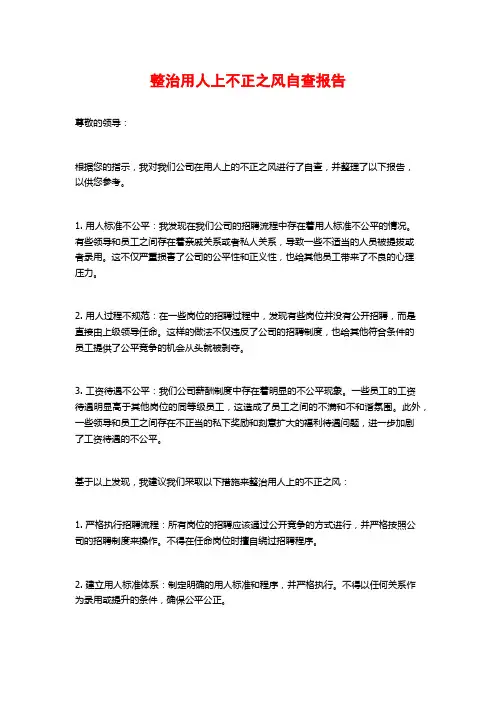 整治用人上不正之风自查报告
