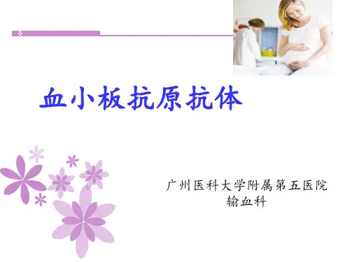 血小板 抗原抗体检测