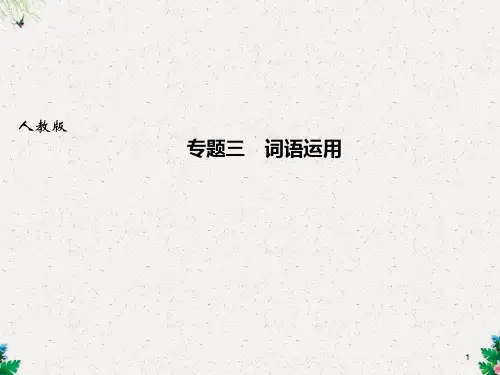 人教部编版八年级语文上册课件：专题三 词语运用(共11张PPT)