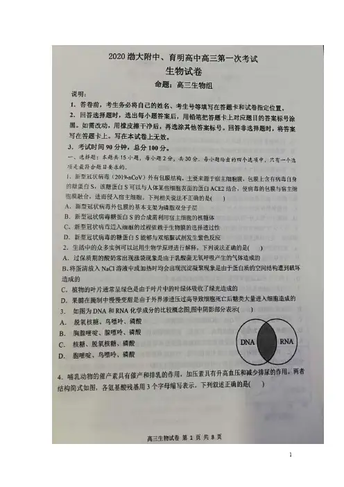 辽宁省锦州市渤大附中、育明高中2021届高三上学期第一次联考生物试题+扫描版含答案