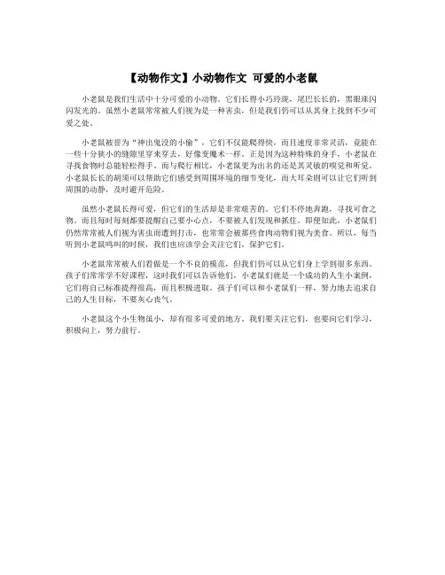 【动物作文】小动物作文 可爱的小老鼠