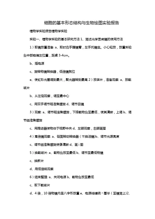 细胞的基本形态结构与生物绘图实验报告