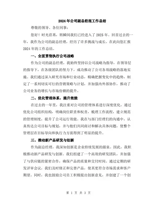 2024年公司副总经理工作总结